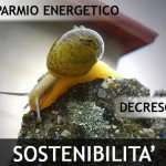 risparmio-energetico-casa-sostenibile risparmio-energetico-casa-sostenibile