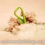 Riqualificazione-Sostenibile-Edifici-Green-Home-Remodeling