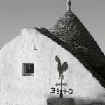 Architettura ecologica e sostenibile