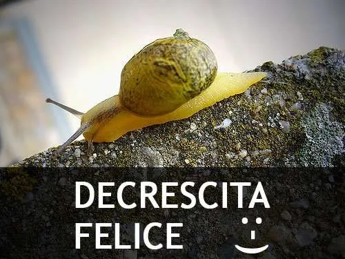 decrescita-felice-pallante decrescita-felice-pallante