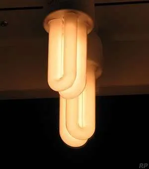 2 Lampade Fluorescenti a Risparmio Energetico