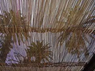 Bamboo-roof Bamboo-roof