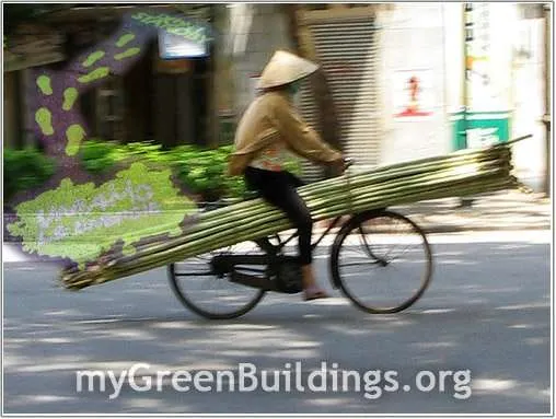 Bamboo-sostenibile-e-innovativo