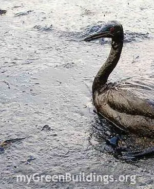 Impatto-Ambientale Impatto-Ambientale