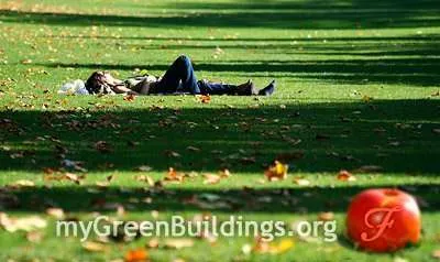 Ridurre-lo-stress-nel-verde Ridurre-lo-stress-nel-verde