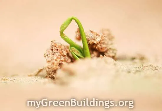 Riqualificazione-Sostenibile-Edifici-Green-Home-Remodeling