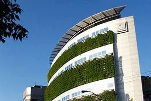 Risparmio Energetico in Fase Estiva: Schermature Solari Vegetali per la Tua Casa Risparmio Energetico in Fase Estiva: Schermature Solari Vegetali per la Tua Casa