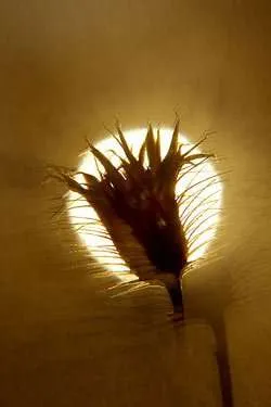 fotosensori fotosensori