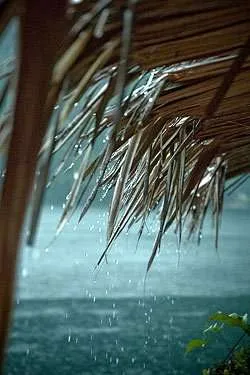 Tetti Freddi in Relazione ai Problemi di Umidità