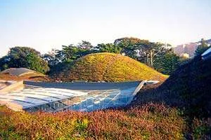 Tetti Verdi per il Risparmio Energetico e la Sostenibilità Urbana