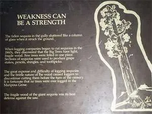 Pregi-difetti-PCM Pregi-difetti-PCM