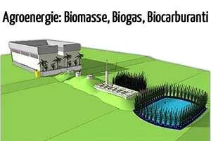 Impianti Biogas, Biomasse e Biocarburanti: Incentivi e Modelli di Sviluppo delle Agroenergie Impianti Biogas, Biomasse e Biocarburanti: Incentivi e Modelli di Sviluppo delle Agroenergie