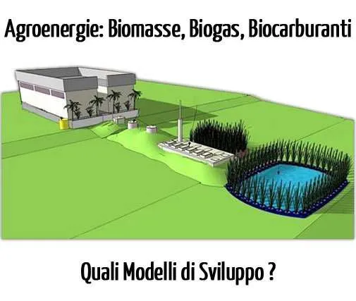 Impianti Biogas, Biomasse e Biocarburanti: Incentivi e Modelli di Sviluppo delle Agroenergie