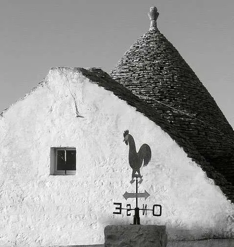 Architettura ecologica e sostenibile