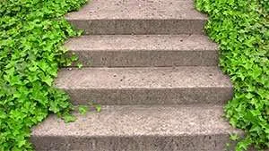 Le fasi della riqualificazione energetica ambientale Le fasi della riqualificazione energetica ambientale