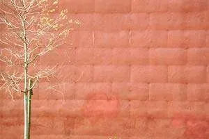 6 Errori Gravi da Evitare nella Posa del Cappotto Termico 6 Errori Gravi da Evitare nella Posa del Cappotto Termico