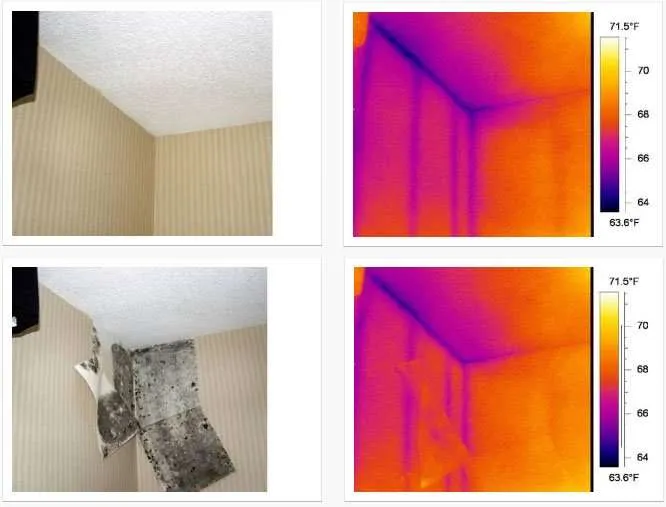 Muffa-e-indagine-termografica