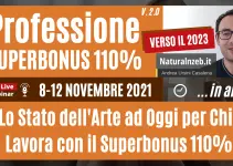 Professione Superbonus 110%: Verso il 2023 (Corso Online Completo 20 ore) Professione Superbonus 110%: Verso il 2023 (Corso Online Completo 20 ore)