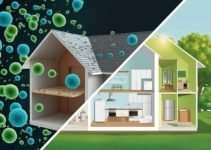 Muffe Indoor e Rischi per la Salute