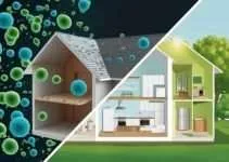 Muffe Indoor e Rischi per la Salute Muffe Indoor e Rischi per la Salute